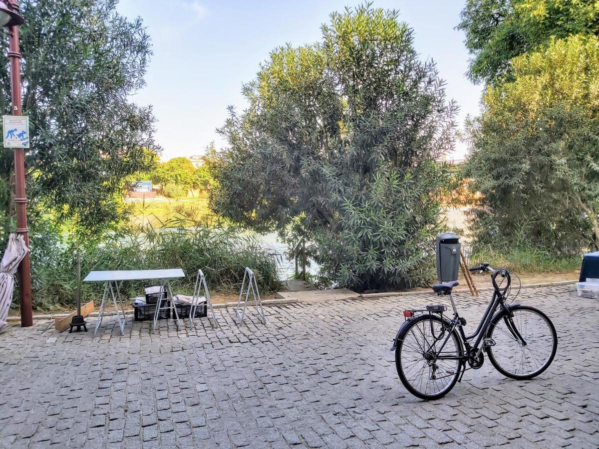 Triana Procurador Con Terraza Privada Daire Sevilla Dış mekan fotoğraf