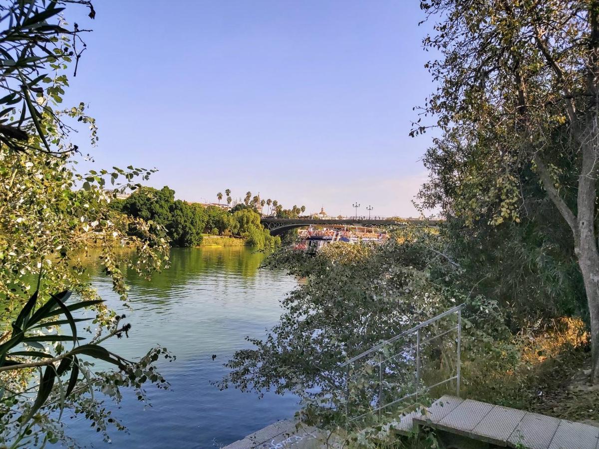 Triana Procurador Con Terraza Privada Daire Sevilla Dış mekan fotoğraf